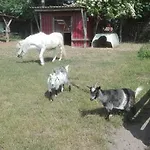 Ferien Auf Dem Lande *