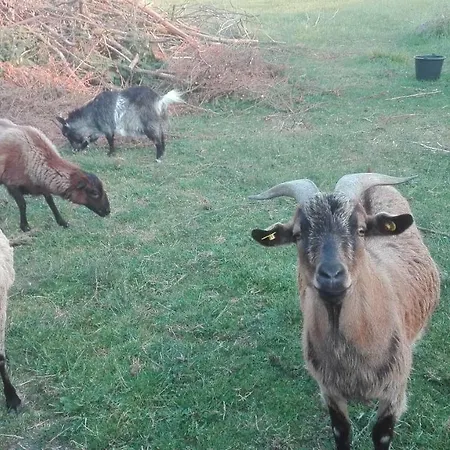 Ferien Auf Dem Lande *