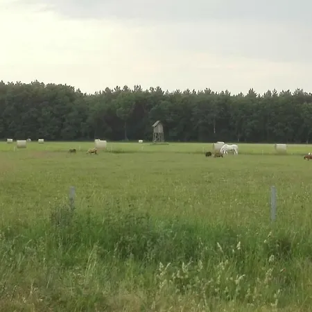 펜션 Ferien Auf Dem Lande Leopoldshagen