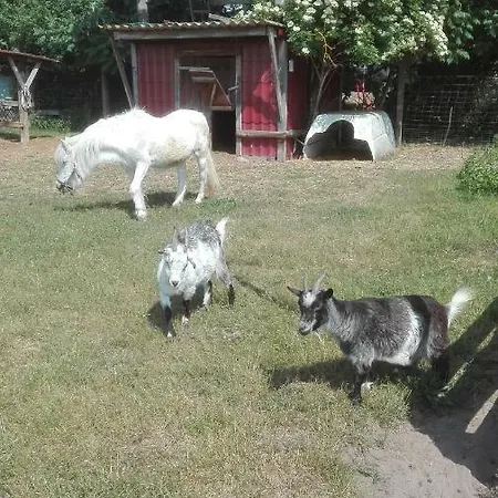 Ferien Auf Dem Lande *